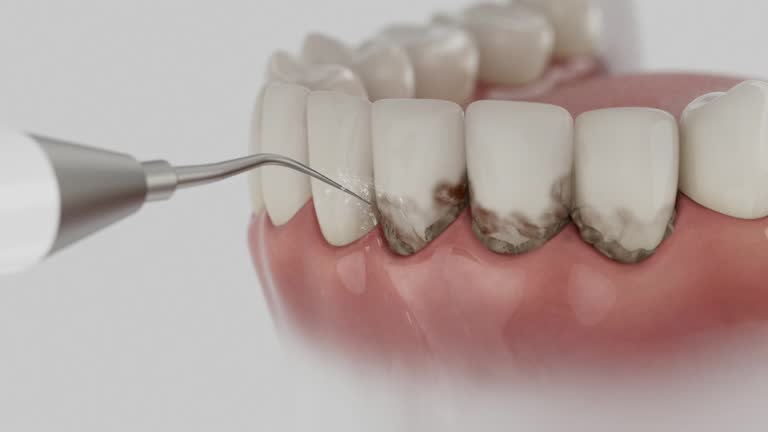Reliable Dental contractor in Cumberland County County, ME by Dentist Open Now
